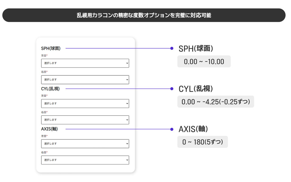 多様なデザインとオプション選択可能